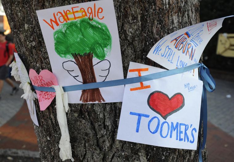 Toomer's Oak after poisoning